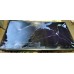 Main board TB Skyworth 5800-A7M46T-OP20